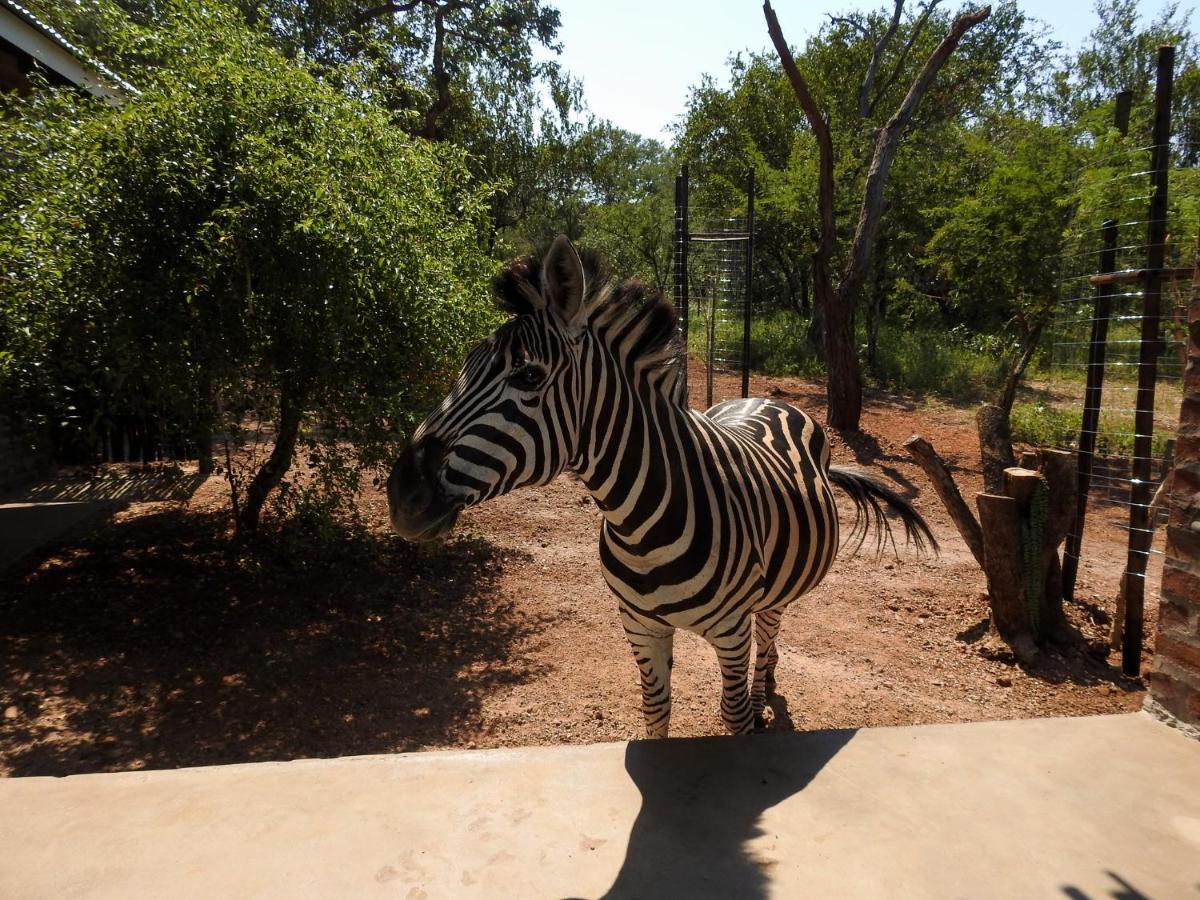 Kruger'S Retreat House & Kruger'S Rest Studio Марлот Парк Екстериор снимка